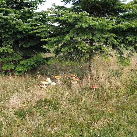 5 Person In Vaeggerlose-by Traum Bøtø By